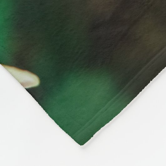 Plumeria rubra fleecedecke (Ecke)