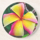 Plumeria rubra getränkeuntersetzer (Vorne)