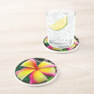 Plumeria rubra getränkeuntersetzer