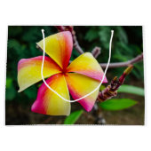 Plumeria rubra große geschenktüte (Vorderseite)