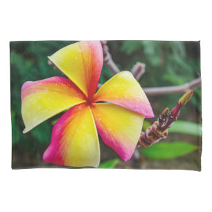 Plumeria rubra kissenbezug
