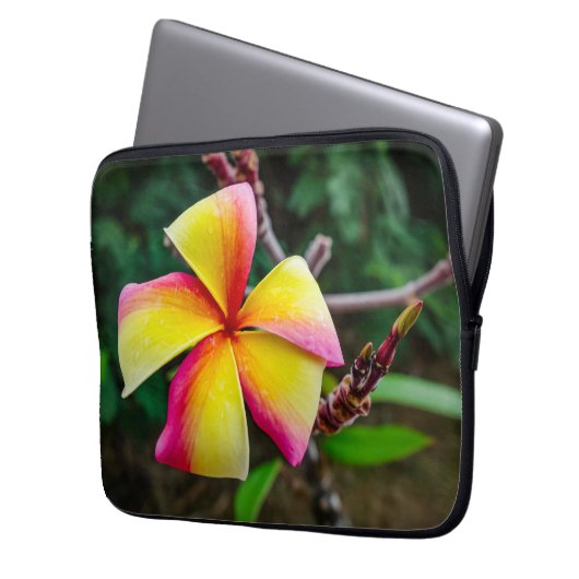 Plumeria rubra laptopschutzhülle (Vorderseite Links)