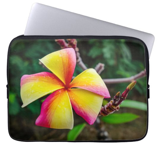 Plumeria rubra laptopschutzhülle (Vorderseite)