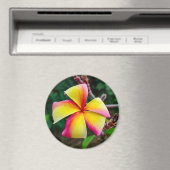 Plumeria rubra magnet (In Situ (Geschirrspüler))