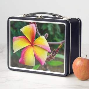 Plumeria rubra metall brotdose