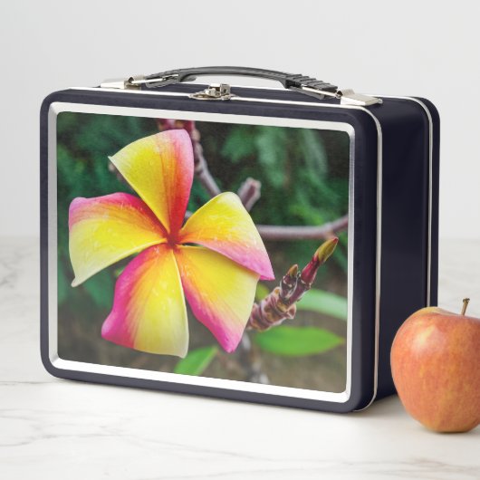 Plumeria rubra metall brotdose (Beispiel)