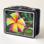 Plumeria rubra metall brotdose (Vorderseite)
