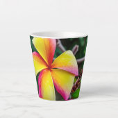 Plumeria rubra milchtasse (Vorderseite)