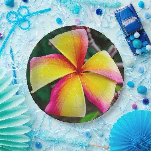 Plumeria rubra pappteller (Party)