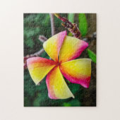 Plumeria rubra puzzle (Vertikal)