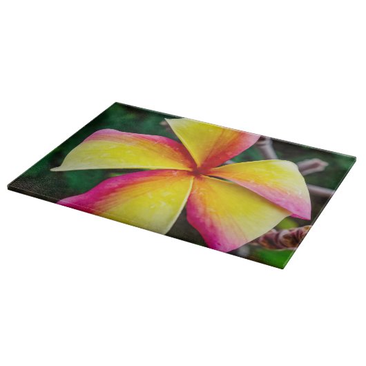 Plumeria rubra schneidebrett (Ecke)