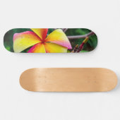 Plumeria rubra skateboard (Horizontal)