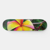 Plumeria rubra skateboard (Horizontal)
