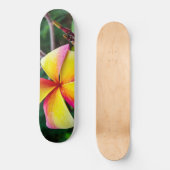 Plumeria rubra skateboard (Vorderseite)