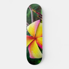 Plumeria rubra skateboard
