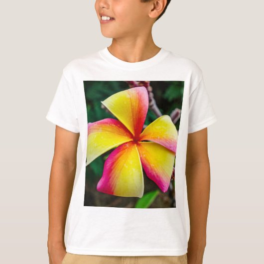 Plumeria rubra T-Shirt (Vorderseite)