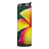 Plumeria rubra thermosbecher (Nach links gedreht)