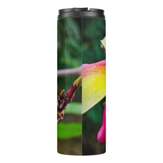 Plumeria rubra thermosbecher (Rückseite)