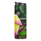 Plumeria rubra thermosbecher (Nach rechts gedreht)