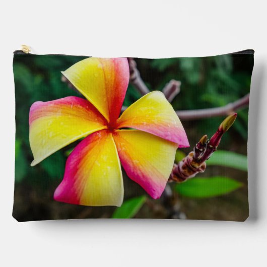Plumeria rubra zubehörtasche (Vorderseite)
