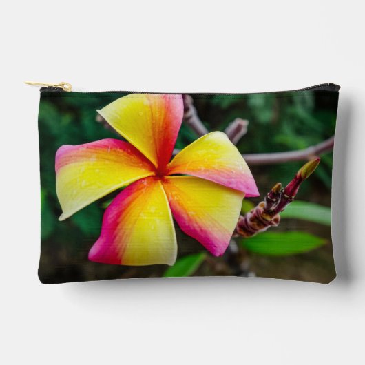 Plumeria rubra zubehörtasche (Vorderseite)