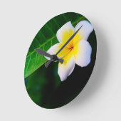 Plumeria Runde Wanduhr (Winkel)