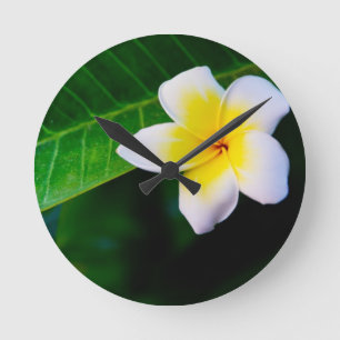 Plumeria Runde Wanduhr