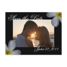 Plumeria Save the Date Postkarte