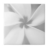 Plumeria - Schwarz-Weiß-Macro-Portrait Fliese (Vorderseite)
