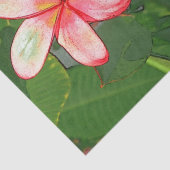 Plumeria Seidenpapier (Detail)
