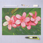 Plumeria Seidenpapier (Handwerk)