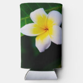 Plumeria Selters Dosenkühler (Rückseite)