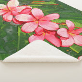 Plumeria Sherpadecke (3/4)