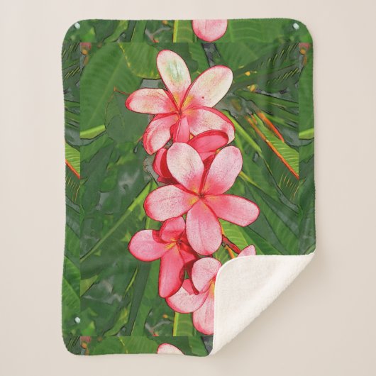 Plumeria Sherpadecke (Vorderseite)