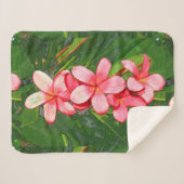 Plumeria Sherpadecke (Vorderseite (Horizontal))