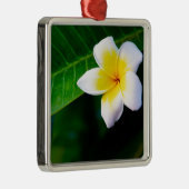Plumeria Silbernes Ornament (Rechts)
