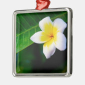 Plumeria Silbernes Ornament (Links)