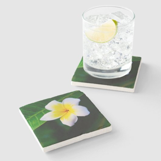 Plumeria Steinuntersetzer (Seitenansicht)