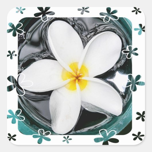 Plumeria Sticker (Vorderseite)