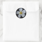 Plumeria Stickers (Tasche)