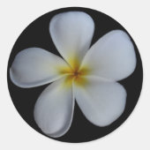 Plumeria Stickers (Vorderseite)