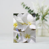 Plumeria Tropische Blume Postkarte (Stehend Vorderseite)
