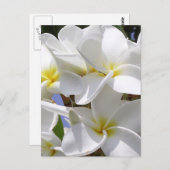 Plumeria Tropische Blume Postkarte (Vorne/Hinten)