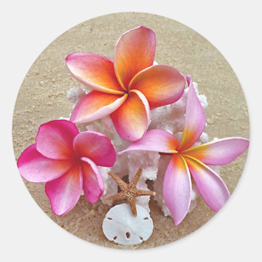 Plumeria und Muscheln auf Sandy Beach Sticker (Vorderseite)