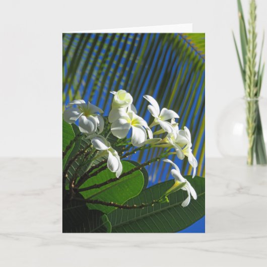 Plumeria und Palm Karte (Vorderseite)