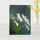 Plumeria und Palm Karte (Gelbe Blume)