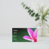 Plumeria-Visitenkarte Visitenkarte (Stehend Vorderseite)