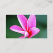 Plumeria-Visitenkarte Visitenkarte (Rückseite)