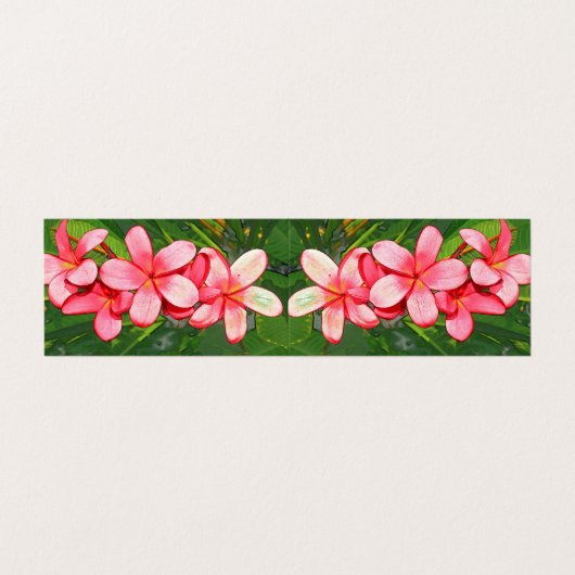 Plumeria Visitenkarten (Außenseite Aufgefaltet)