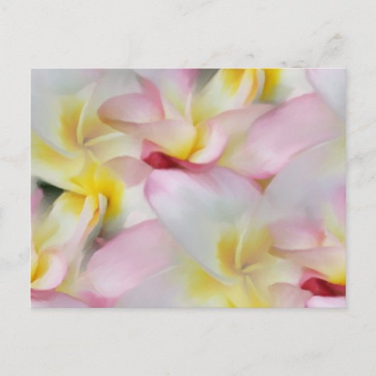 Plumeria Watercolor Postcard Postkarte (Vorderseite)